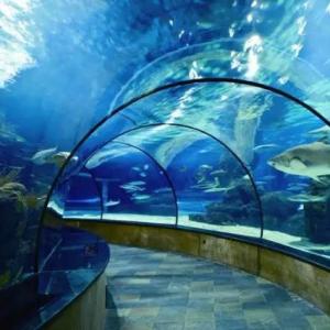 China Safe Window Curved Glass ODM OEM Tempered Glass Transparent Toughened Glass 3mm 4mm 5mm 6mm 8mm 9mm For Aquarium Sightseeing wholesale