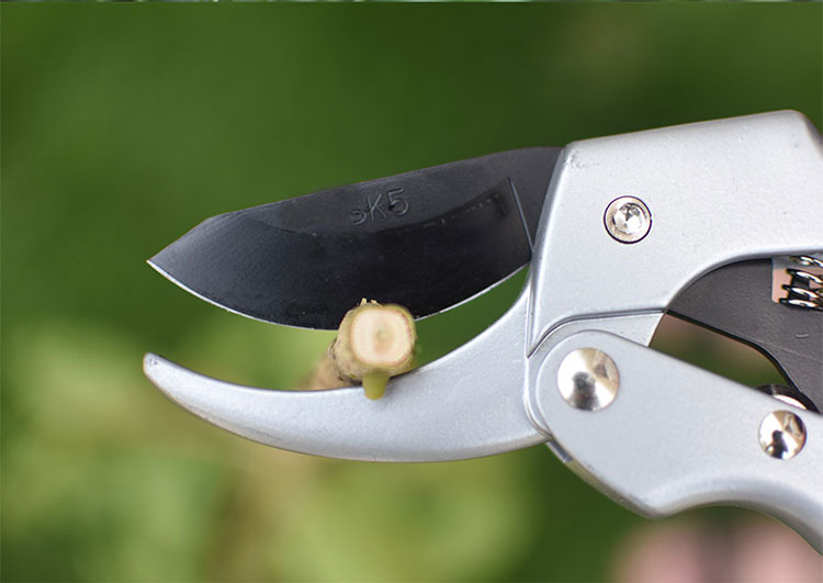 Anti Slip Grip Sk5 Carbon Steel Plant Garden Pruning Scissors Flower Pruning Shears