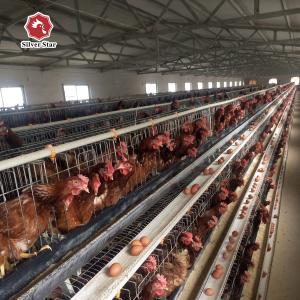 China 3 Tiers Layer Chicken Cage High Hand Make Egg Chicken Cage wholesale
