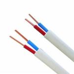 300/500V 450/750V Double Core Copper PVC Insulated Flat Electrical Wires for