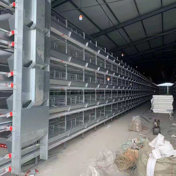 H Type 20000 Capacity Battery Layer Egg Chicken Cage with Automatic Cleaning Belt and Egg Collection System and Feeding System