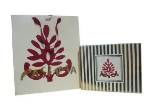 China OEM Pashma 210g Art Paper Shopping Bag With Matt Lamination, Logo Stamp wholesale