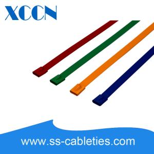 China Assorted Zip Reusable Cable Ties , Metal Small Cable Ties Mounts Non Flammable wholesale