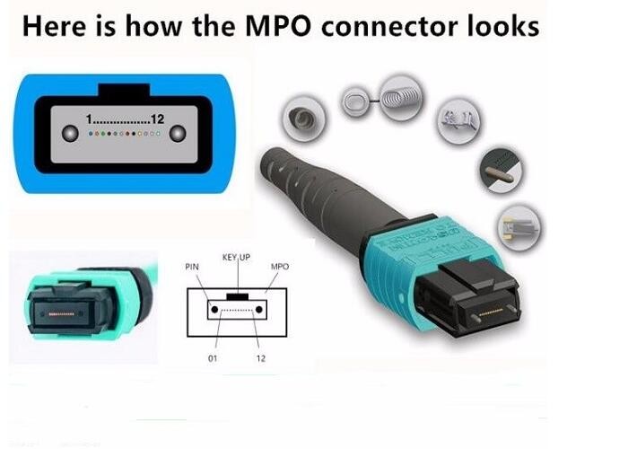 12 Fiber Optic Patch Cord Aqua Color MPO - MPO LSZH SM / MM For Broadband