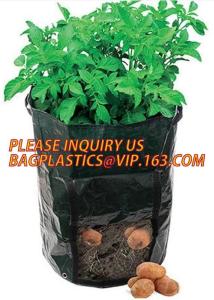 China Garden grow bag potato grow bag murphy bag PE fabric,40 / 50 / 100 / 200/300gallon durable heavy duty potato grow bag wholesale