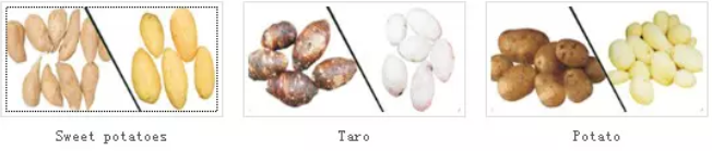 2000KG/H Large Capacity Root Vegetable Washing Machine Yam Taro Potato Washing And Peeling Machine