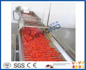 China Fruit Processing Tomato Juicer Machine , Electric Tomato Juicer Process Plant And Machinery wholesale