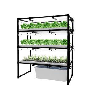 China Custom Hydroponic Grow Rack Indoor Vertical Farms For Leafy Green wholesale