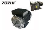 Durable Single Phase Induction Motor 1HP/0.75KW Swimming Pool Pump Motor High