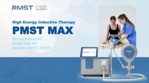 China Pemf Magnetic Therapy Health Pulsed Electromagnetic Stimulation Therapy Pemf Device For Equines wholesale
