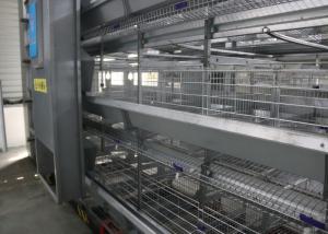China Sturdy Durable Layer Farming Equipment Cross - Opening Door Design wholesale