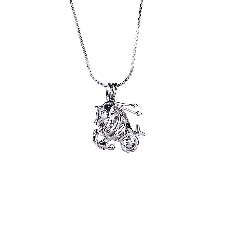 12 Horoscope Zodiac Love Wish Pearl Necklace Gift Set with Capricon Cage Pendant Innovative Birthday Gift