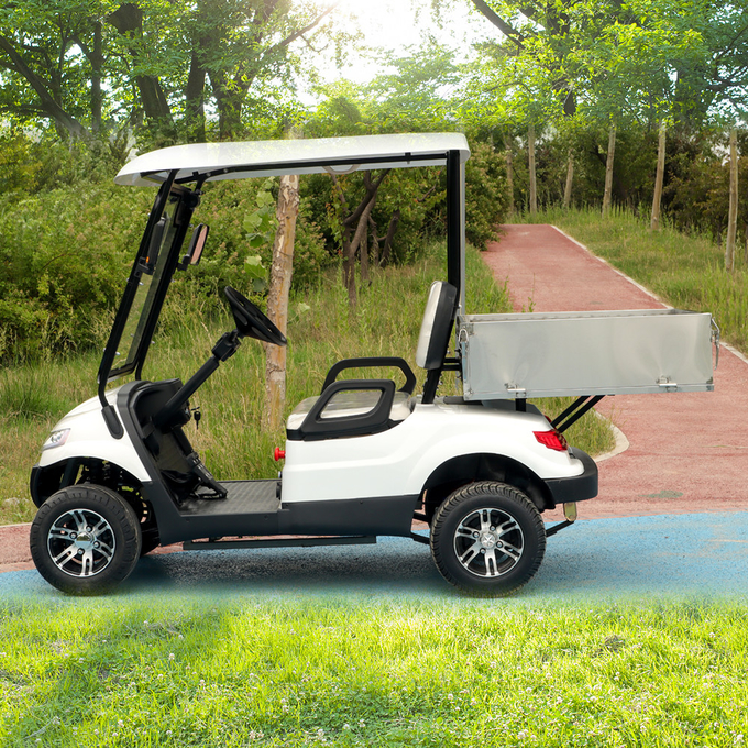 Custom 2 Seater Golf Cart Car Electric Lithium Powered CE Certificated