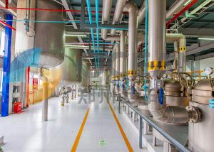 China Tea Seeds Oilseed Press Plant 10-1000TPD Edible Oil Making Machinery wholesale