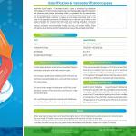 Esterification and Transesterification Lipase, Biodiesel, Industrial Enzymes