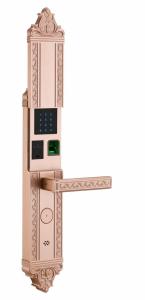 China Zinc Alloy Fingerprint Access Control Door Lock 500 DPI 100 Password wholesale