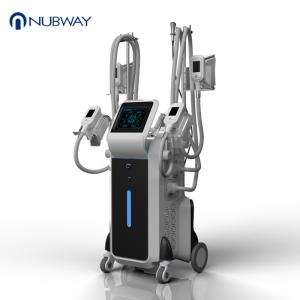 China 2018 latest weight loss cryo freeze fat body slimming 4 handles cryolipolysis wholesale