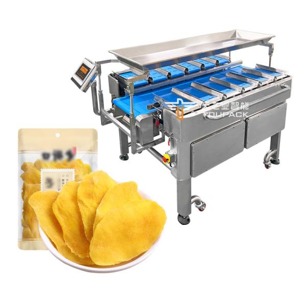 dried mango Automatic Multi-Station Belt Conveyor Aquatic Sea Cucumber Fish