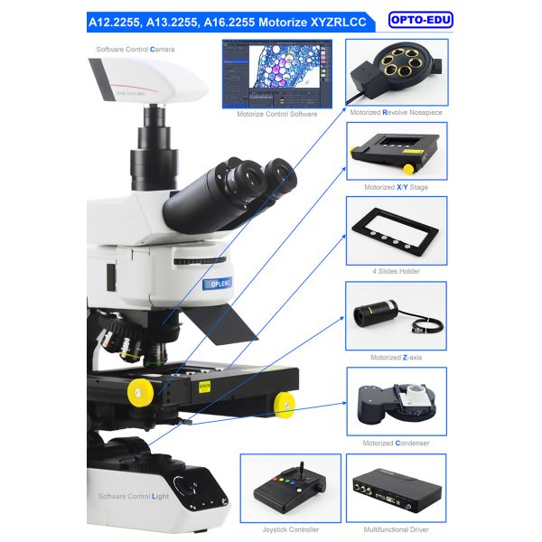 Opto Edu A12.2255 Laboratory Biological Microscope Fully Motorized BX53 CX43 Level