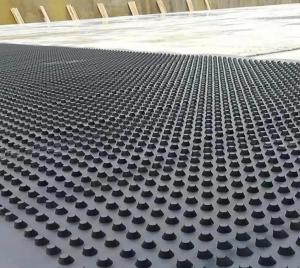China Black HDPE Plastic Drainage Board For Roof Greening wholesale