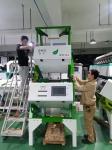 Three Layer High Sorting Capacity Green Black Tea Color Sorter 99.99% Accuracy