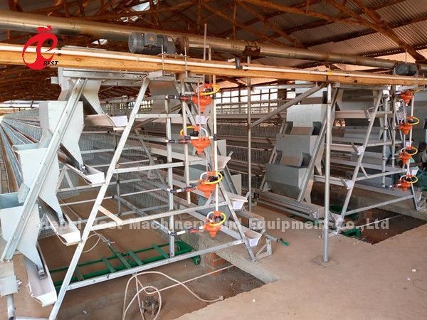 A Frame Animal Poultry Farming Battery Cage System Stable Structure 2022 Hot Selling Emily