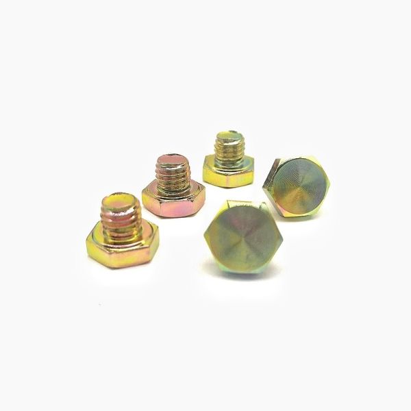 Custom External Hexagonal Decorative Screw Stainless Steel Nail Electrophoretic