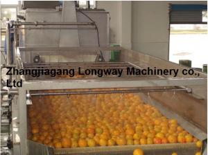 China fresh squeezed orange juice machine on sale
