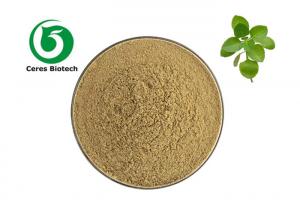 China Natural Origanum Vulgare Herb Extract Powder For Health Care TLC wholesale
