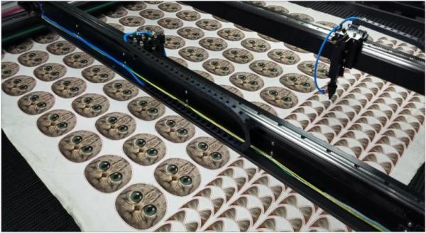 Double Heads Fabric Laser Cutting Machine , 100W / 150W Vision Laser Cutting