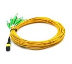 Single Mode SM 12 Core FC APC Simplex MPO MTP