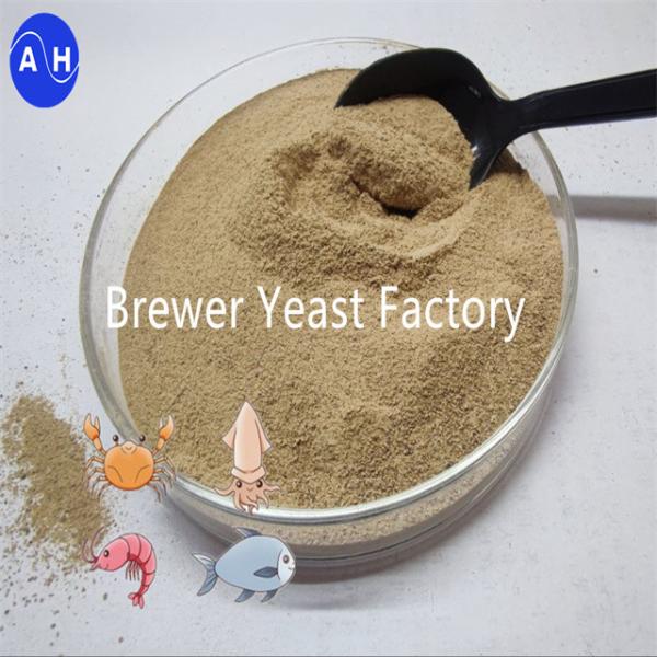 High Activity Brewer Yeast with Saccharomyces Cerevisiae for Digestive Health