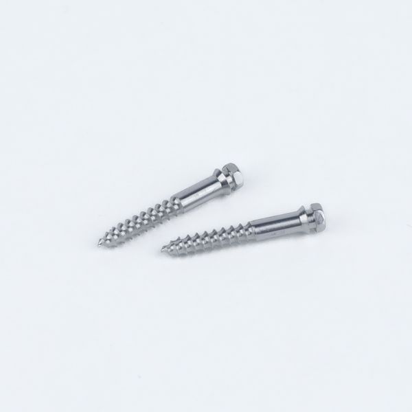 2-Pack Orthodontic TAD MSE Titanium Mini Screws Primary Application Micro-Implant Assisted Rapid Palatal Expansion MSE
