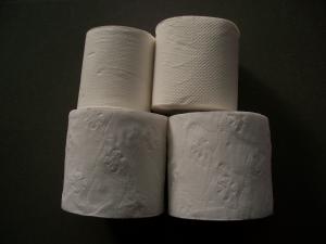 China Flower Embossed Toilet Tissue Paper Bath Tissue 2 Ply 10 Rolls on sale