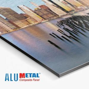 China 0.3mm Nano Aluminium Plastic Composite Panel Cladding 1220x2440 Mm Outdoor wholesale
