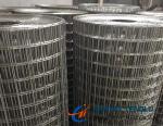 Good Strength Stainless Steel Welded Wire Mesh, Used for Making Fence