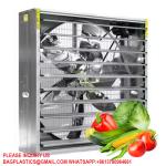 Industrial Belt Drive Ventilation Fan Exhaust Cooling Fan Warehouse Poultry Farm