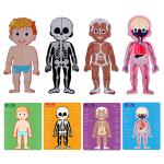 CMYK Printing Human Body Puzzle Kids Human Anatomy Bones And Muscles Puzzle Toys