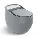 Upgrade Your Bathroom with Elegance One Piece Dual-Flush Gold Ceramic WC Toilet