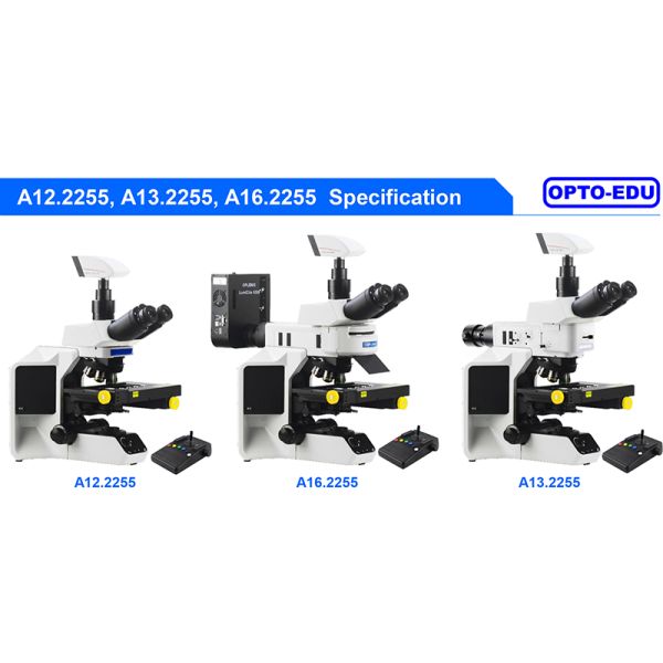 Opto Edu A12.2255 Laboratory Biological Microscope Fully Motorized BX53 CX43 Level