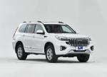 HAVAL H9 2022 2.0T Gasoline 4WD Elite Version Turbo Charged SUV 5 Door 5 Seats