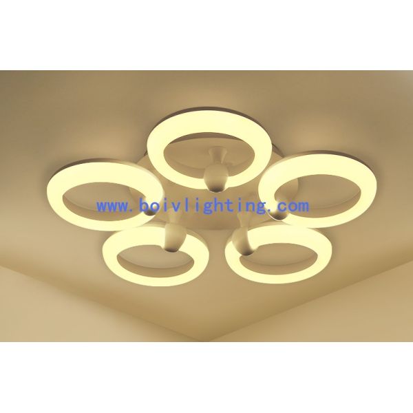 36W Indoor Decprative Iron Modern Ceiling Light LED Lamps