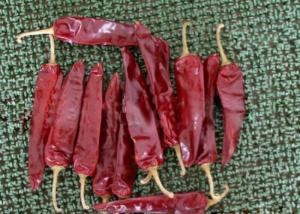 China Moisture ≤14% Sweet Paprika Pepper Red chili Capsicum with Storage Temperature during 0 C -28 C wholesale