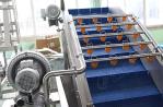 Automatic Bubble Fruit And Vegetable Apricot Washing Cleaning Equipment Line