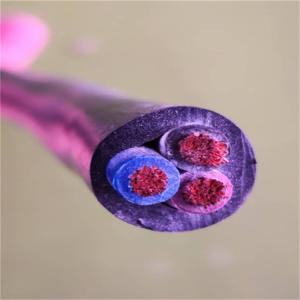 China 22AWG TC UL2464-Electronica Wire &amp; Cable wholesale
