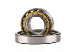 Double Row High Precision Cylindrical Roller Bearing NU1006M 30*55*13 mm