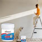 Acrylic Waterproof Coating Liquid Waterproof Membrane Elastic for Wall Paint
