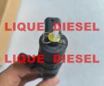 BOSCH common rail injector 0445110274 0445110275 0 445 110 274 0 445 110 275 for