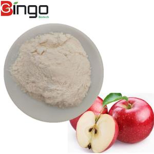 China Top selling 100% Natural water soluble apple fruit powder freeze dried apple powder on sale
