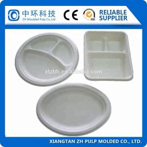 China Clamshell Food Packing Container Making Machine 20t Paper Tray Forming wholesale
